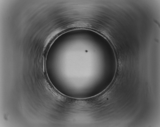 X0000102461123200808081221