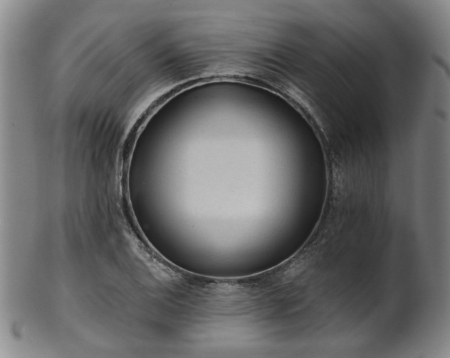 X0000102461124200808081221