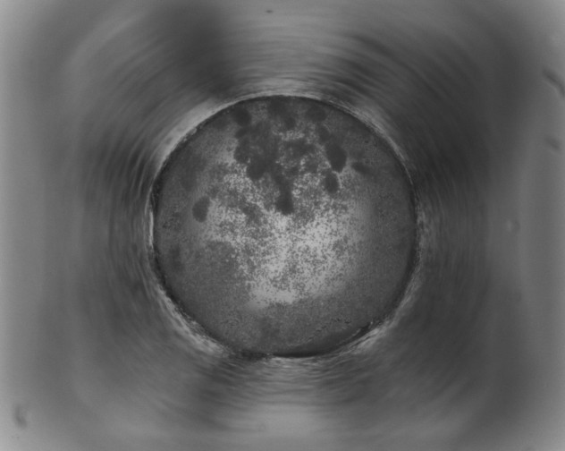 X0000102461125200808081221