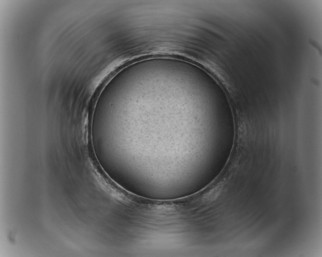 X0000102461126200808081221
