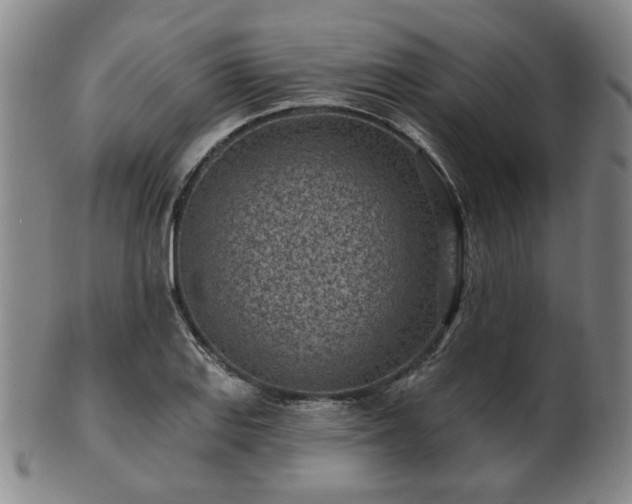 X0000102461127200808081221