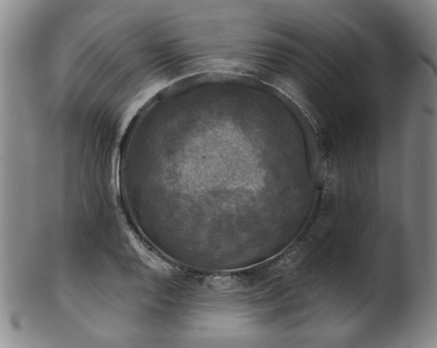 X0000102461128200808081221