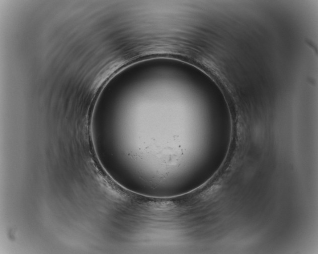 X0000102461129200808081221