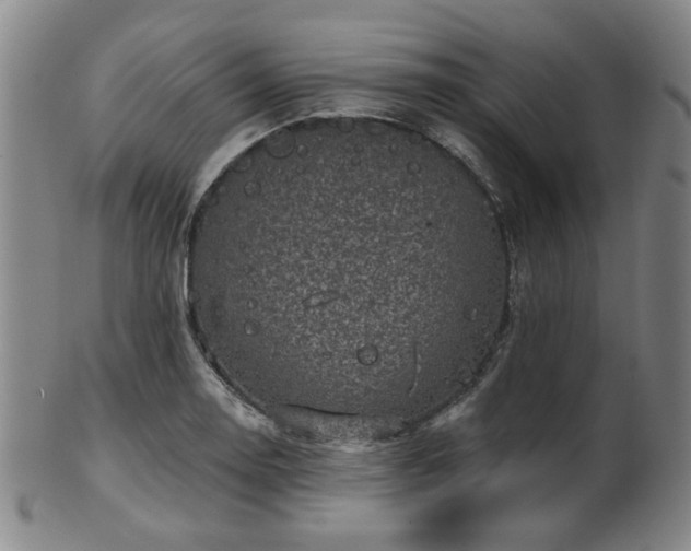 X0000102461130200808081221