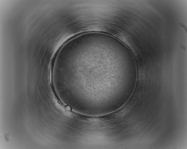 X0000102461132200808081221