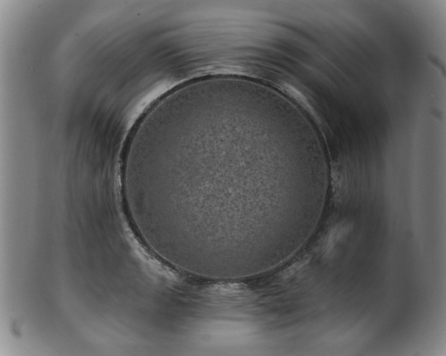X0000102461133200808081221