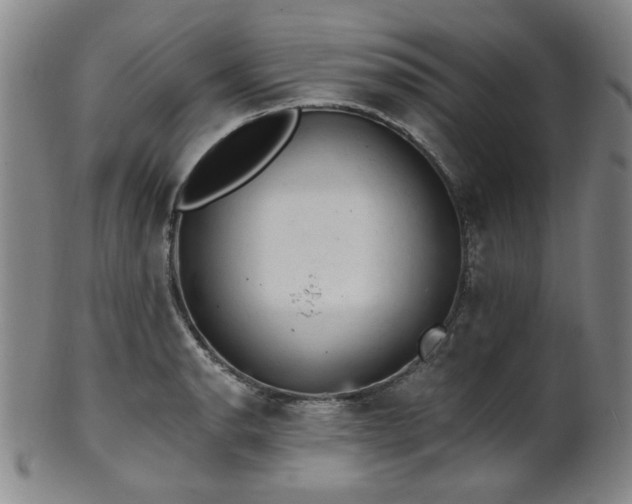 X0000102461134200808081221