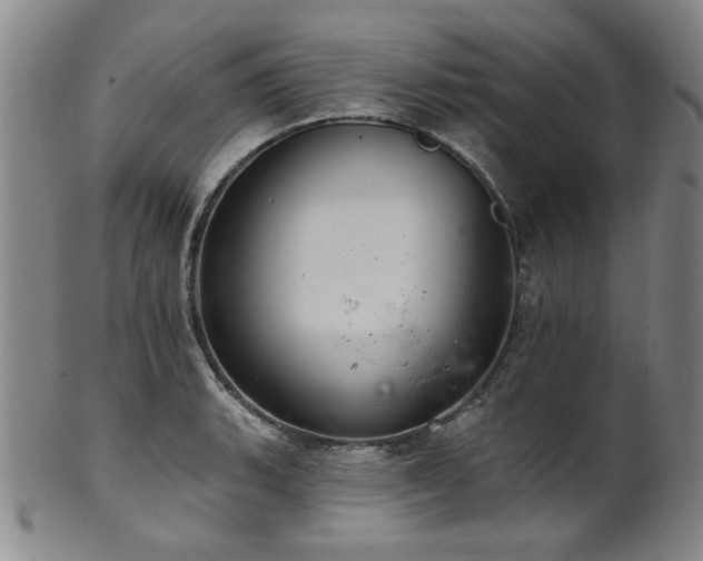 X0000102461135200808081221