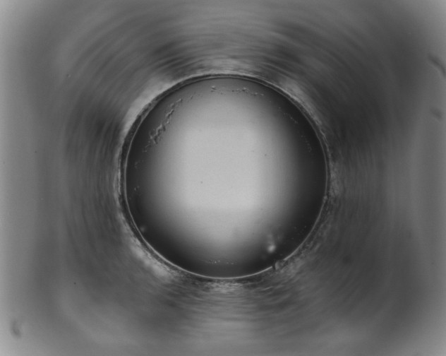 X0000102461136200808081221