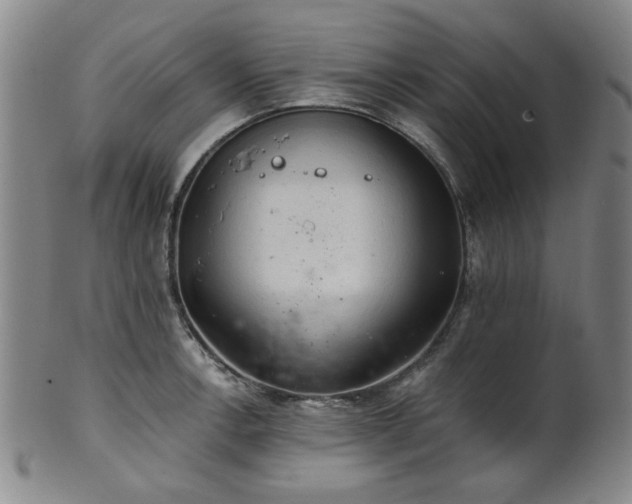 X0000102461138200808081221