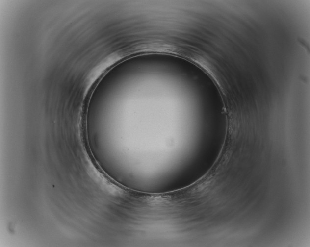 X0000102461139200808081221