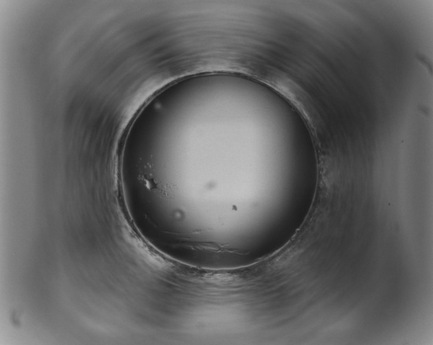 X0000102461140200808081221
