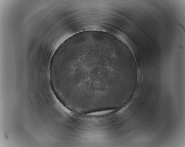 X0000102461141200808081221