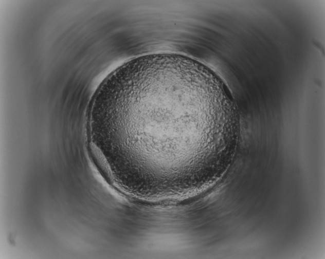 X0000102461142200808081221