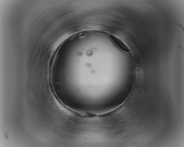 X0000102461143200808081221
