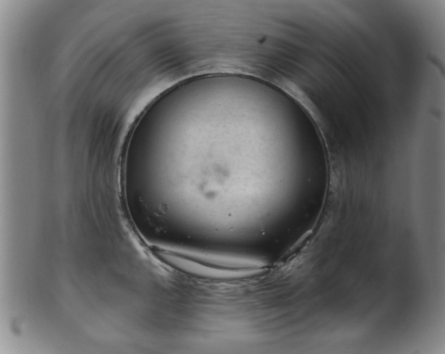 X0000102461144200808081222