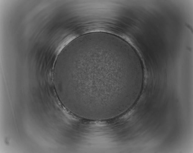 X0000102461145200808081222