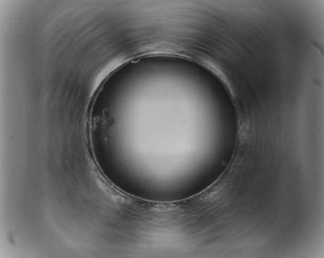 X0000102461146200808081222