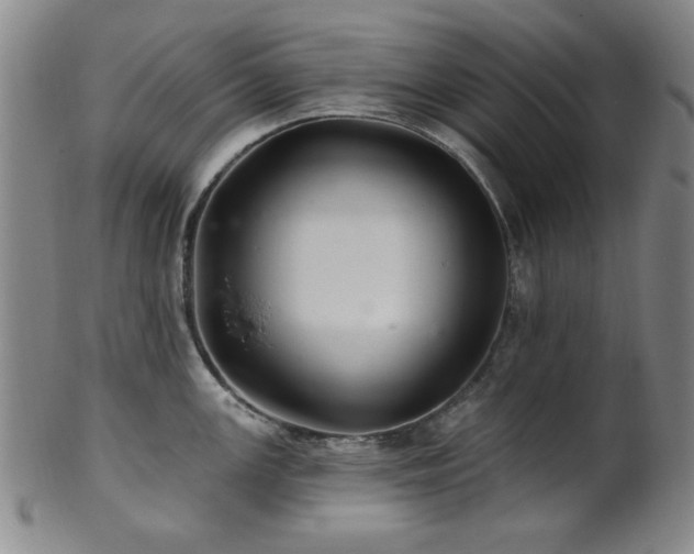 X0000102461147200808081222