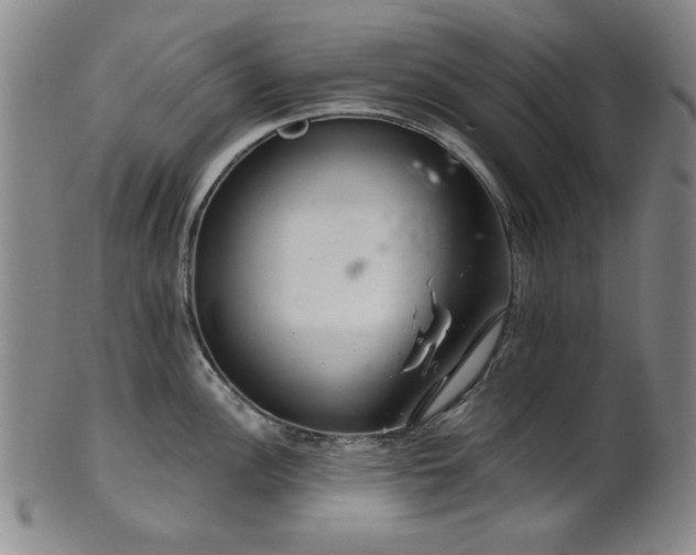 X0000102461148200808081222