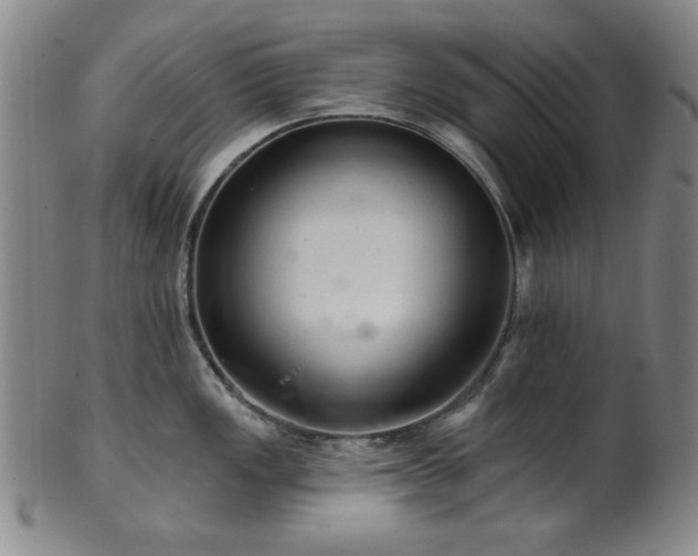 X0000102461149200808081222