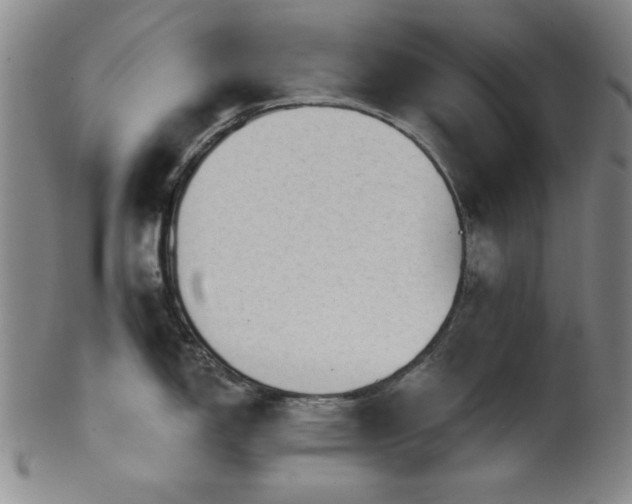 X0000102461150200808081222