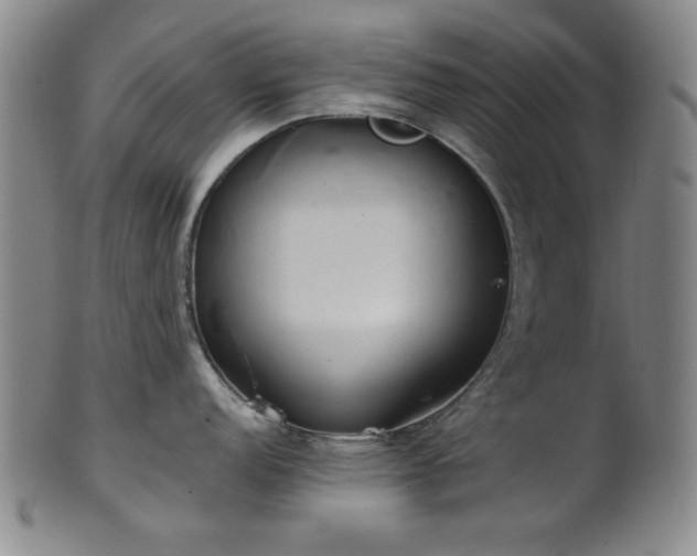 X0000102461152200808081222