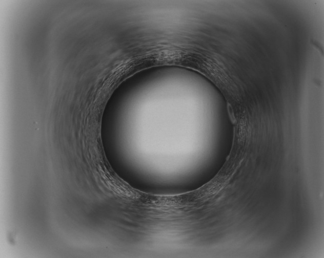 X0000102461153200808081221