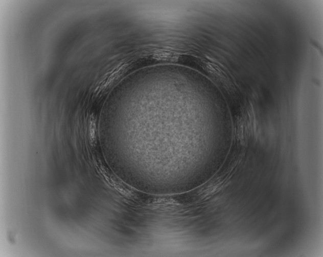 X0000102461154200808081221