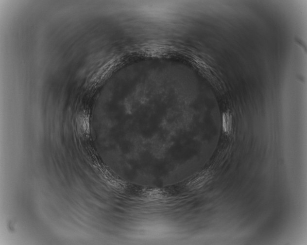 X0000102461155200808081221