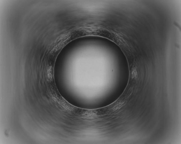 X0000102461156200808081221