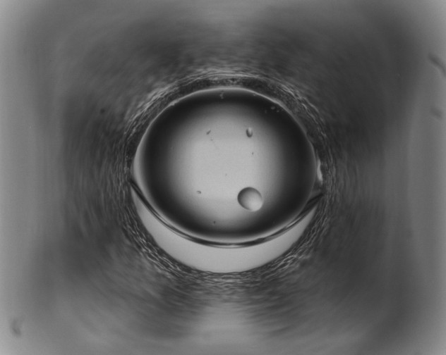 X0000102461157200808081221