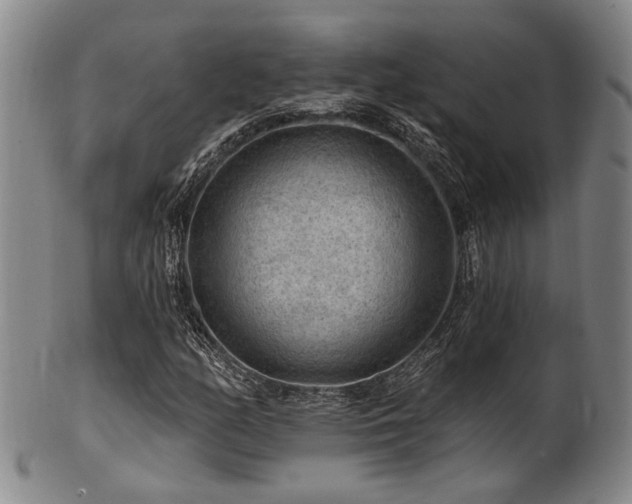 X0000102461158200808081221