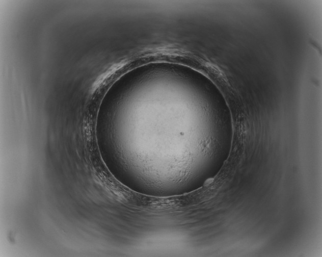 X0000102461159200808081221