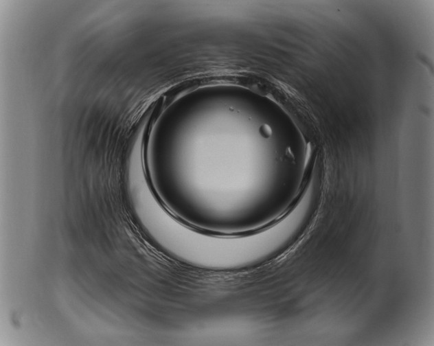 X0000102461161200808081221