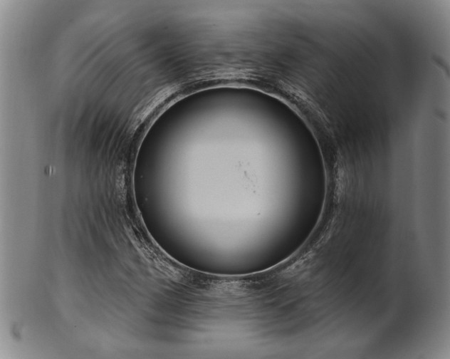 X0000102461162200808081221