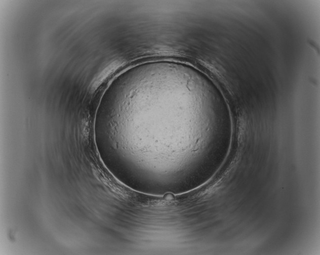 X0000102461163200808081221