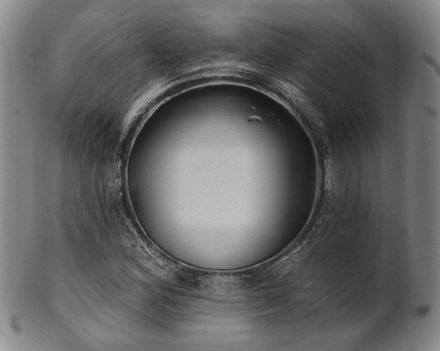 X0000102461164200808081221