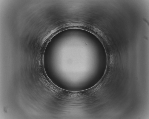 X0000102461165200808081221