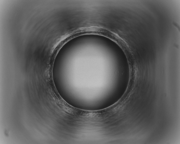 X0000102461166200808081221