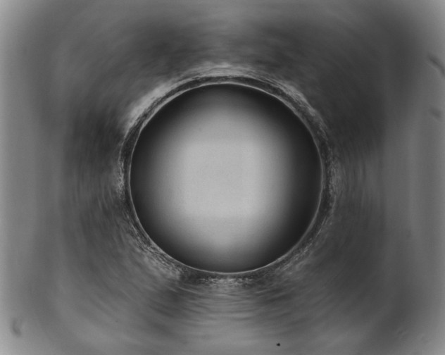 X0000102461167200808081221