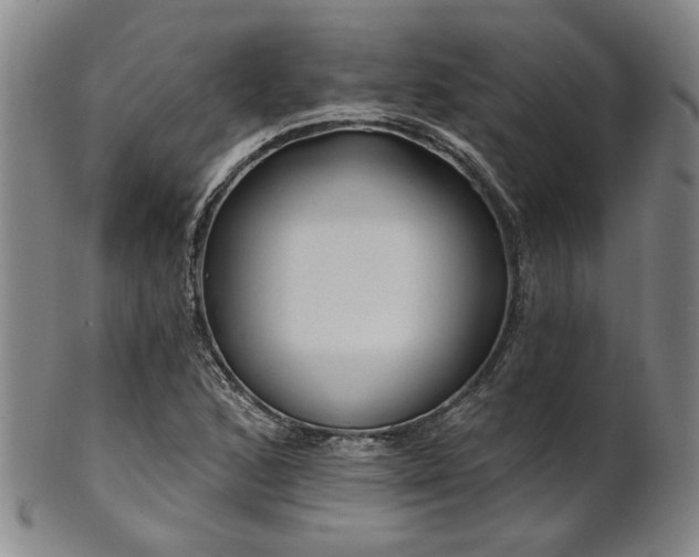 X0000102461168200808081221