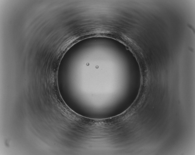 X0000102461169200808081221