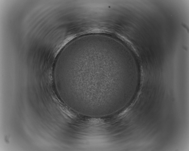 X0000102461170200808081221