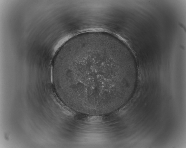 X0000102461171200808081221