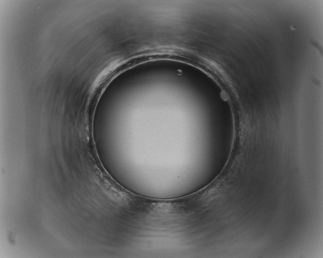 X0000102461172200808081221