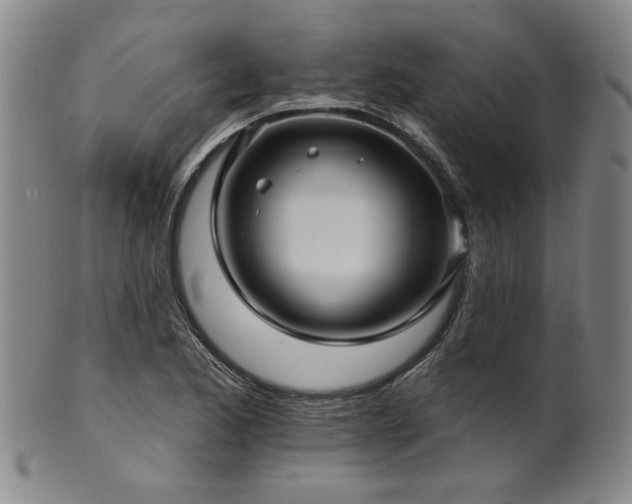 X0000102461173200808081221