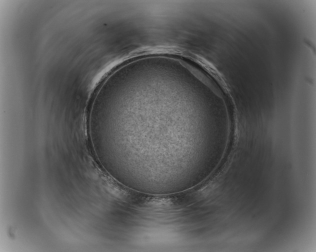 X0000102461174200808081221