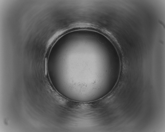 X0000102461175200808081221