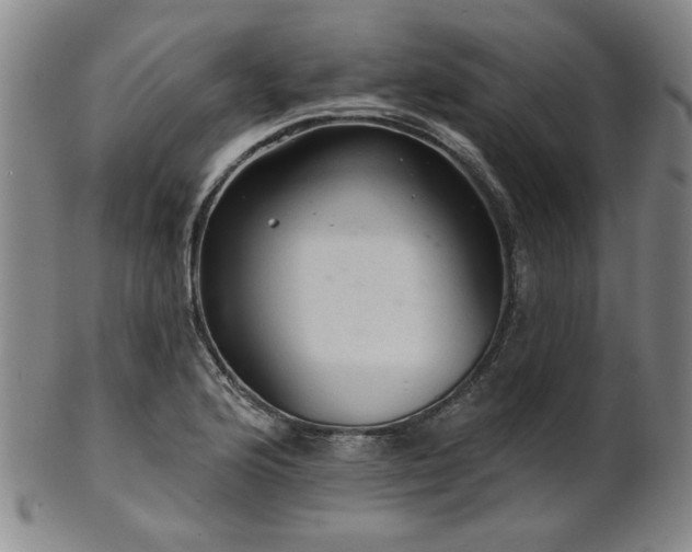 X0000102461176200808081221